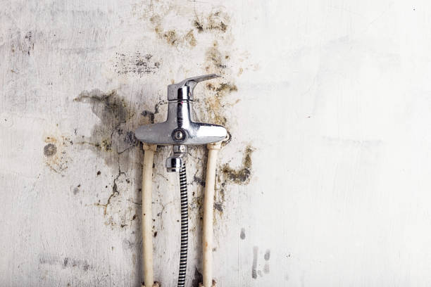 Southmayd, TX Mold Remediation Company